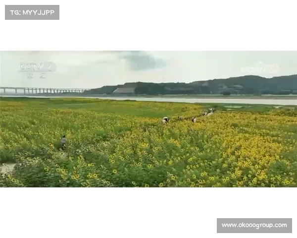 良渚共富小径首次启用 稻田穿行观赛成全新体验